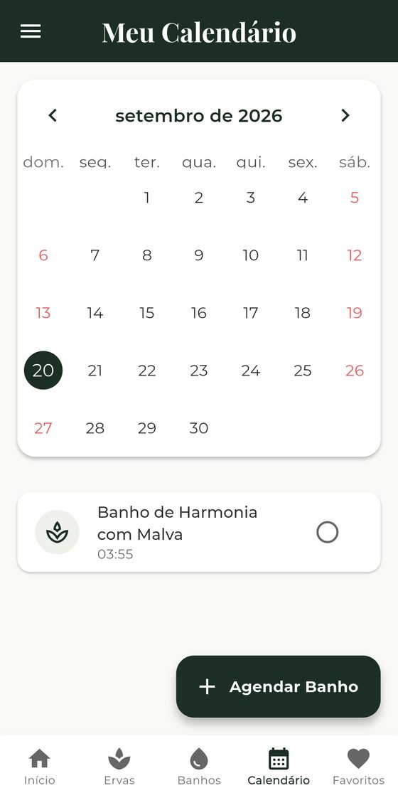 Calendário do Sintonya com um banho agendado
